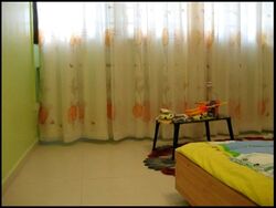 Blk 485 Choa Chu Kang Avenue 5 (Choa Chu Kang), HDB 5 Rooms #554119041
